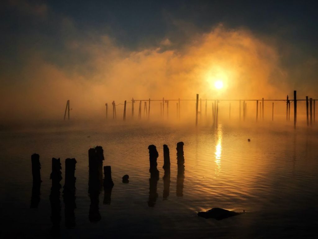 1st Place Winner, "Places" category in ABCD 2022 photo contest: Misty Morning by Daniel Hanscome