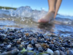 1st Place Winner, "Play" category in ABCD 2022 photo contest: Walking on the Beach by Grace Murdock