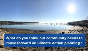 what do you think our community needs to move forward on climate action planning?